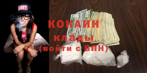 шишки Верея