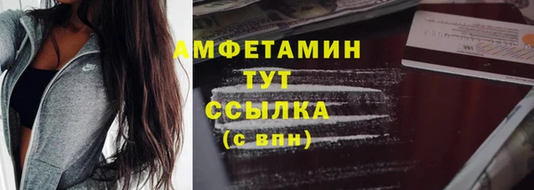 шишки Верея