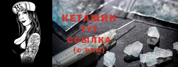 шишки Верея