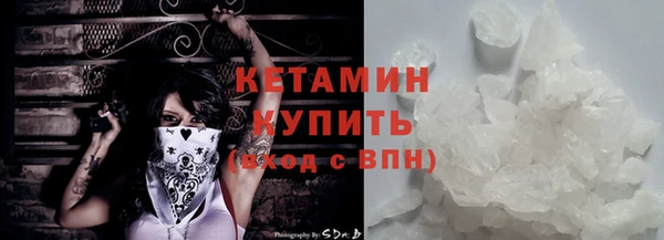 шишки Верея