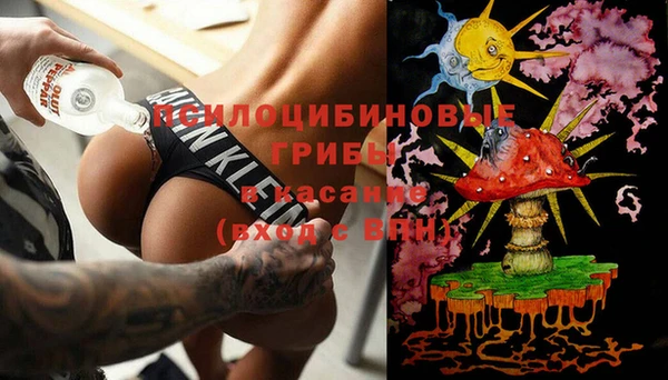 шишки Верея